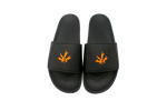 Kamillion Color Changing Slides!