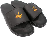 Kamillion Color Changing Slides!